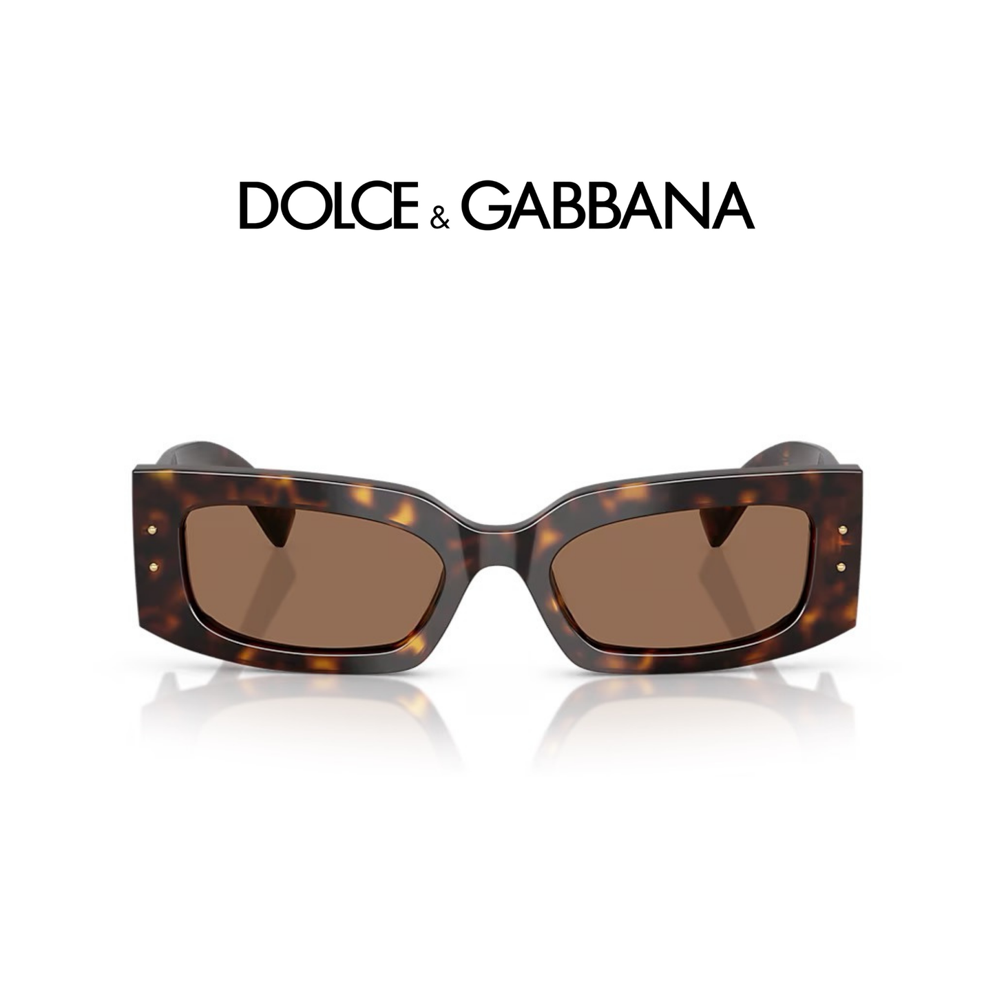 DG4479F HAVANA/DARK BROWN
