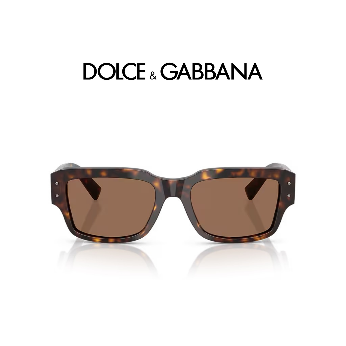 DG4483 HAVANA/DARK BROWN